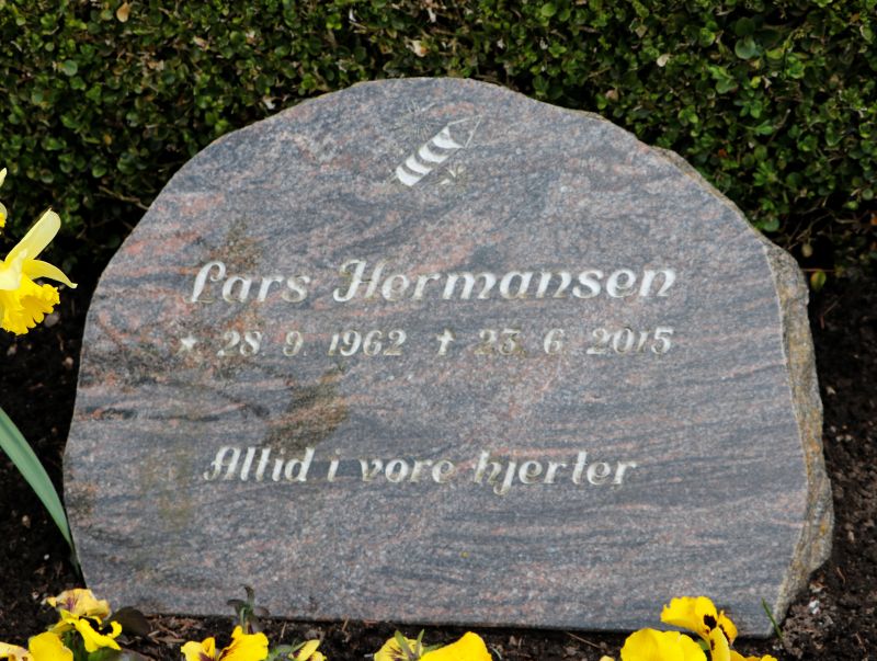 Lars Hermansen.JPG